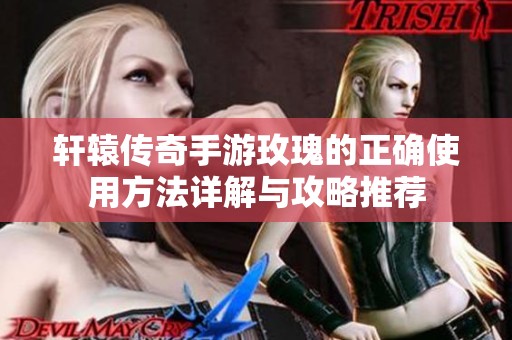 轩辕传奇手游玫瑰的正确使用方法详解与攻略推荐