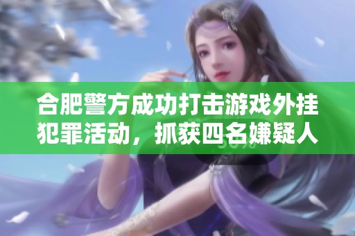 合肥警方成功打击游戏外挂犯罪活动，抓获四名嫌疑人揭露黑产链条
