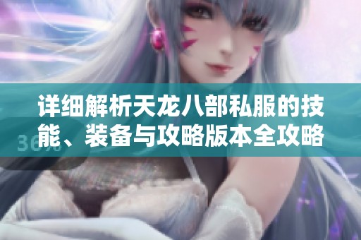 详细解析天龙八部私服的技能、装备与攻略版本全攻略
