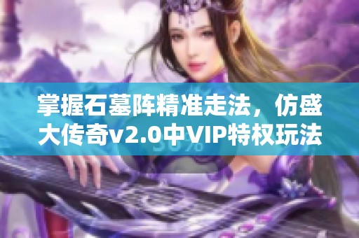 掌握石墓阵精准走法，仿盛大传奇v2.0中VIP特权玩法攻略
