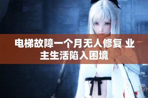 电梯故障一个月无人修复 业主生活陷入困境