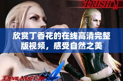 欣赏丁香花的在线高清完整版视频，感受自然之美