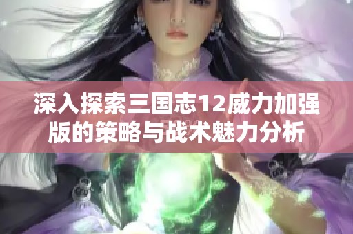 深入探索三国志12威力加强版的策略与战术魅力分析