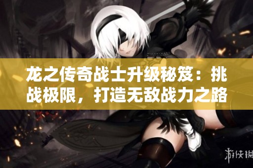 龙之传奇战士升级秘笈：挑战极限，打造无敌战力之路