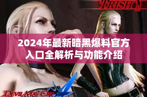 2024年最新暗黑爆料官方入口全解析与功能介绍