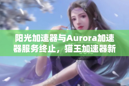阳光加速器与Aurora加速器服务终止，猫王加速器新选择上线