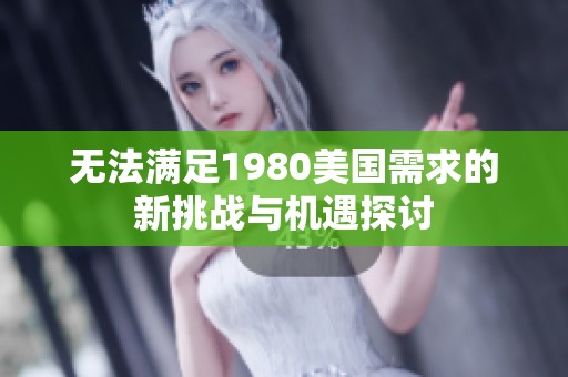 无法满足1980美国需求的新挑战与机遇探讨