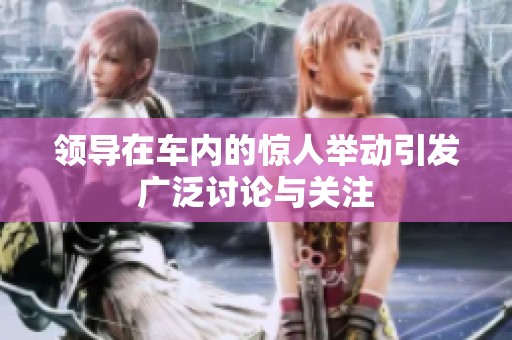 领导在车内的惊人举动引发广泛讨论与关注