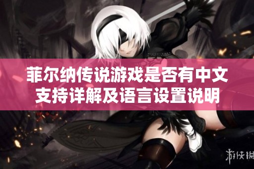 菲尔纳传说游戏是否有中文支持详解及语言设置说明