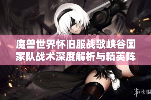 魔兽世界怀旧服战歌峡谷国家队战术深度解析与精英阵容揭秘