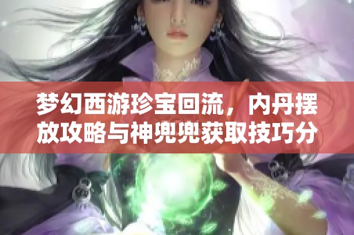 梦幻西游珍宝回流，内丹摆放攻略与神兜兜获取技巧分享