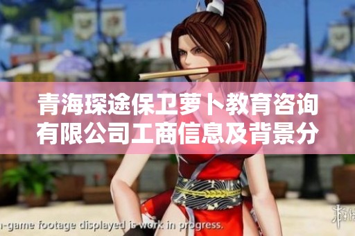青海琛途保卫萝卜教育咨询有限公司工商信息及背景分析