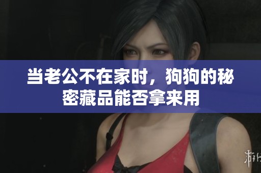 当老公不在家时，狗狗的秘密藏品能否拿来用