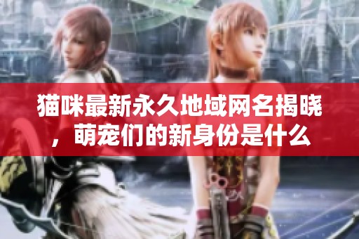 猫咪最新永久地域网名揭晓，萌宠们的新身份是什么