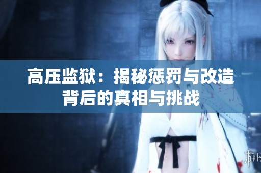 高压监狱：揭秘惩罚与改造背后的真相与挑战