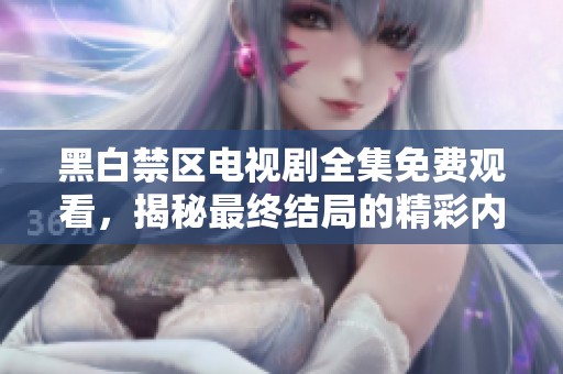 黑白禁区电视剧全集免费观看，揭秘最终结局的精彩内容与深意