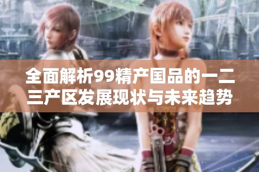 全面解析99精产国品的一二三产区发展现状与未来趋势