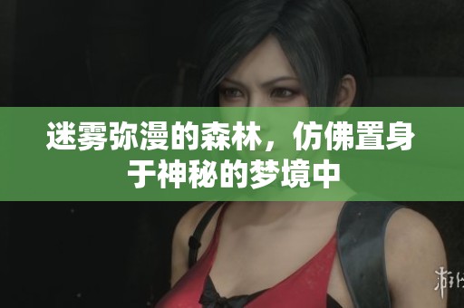 迷雾弥漫的森林，仿佛置身于神秘的梦境中