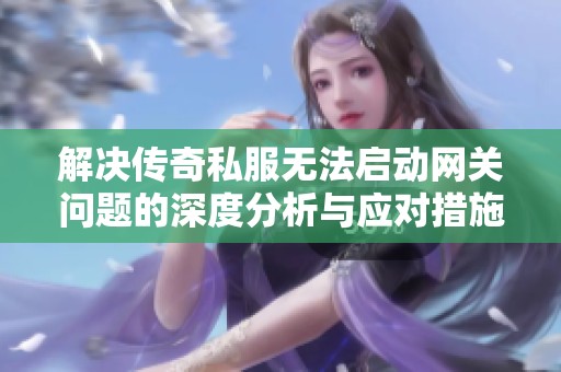 解决传奇私服无法启动网关问题的深度分析与应对措施