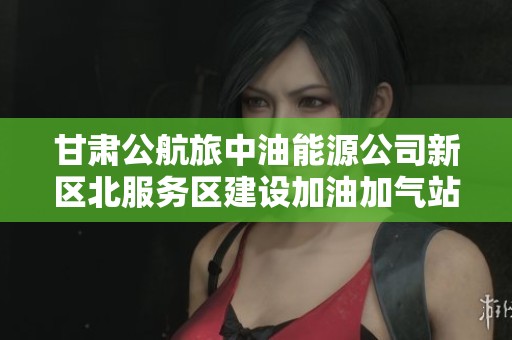 甘肃公航旅中油能源公司新区北服务区建设加油加气站项目计划解析